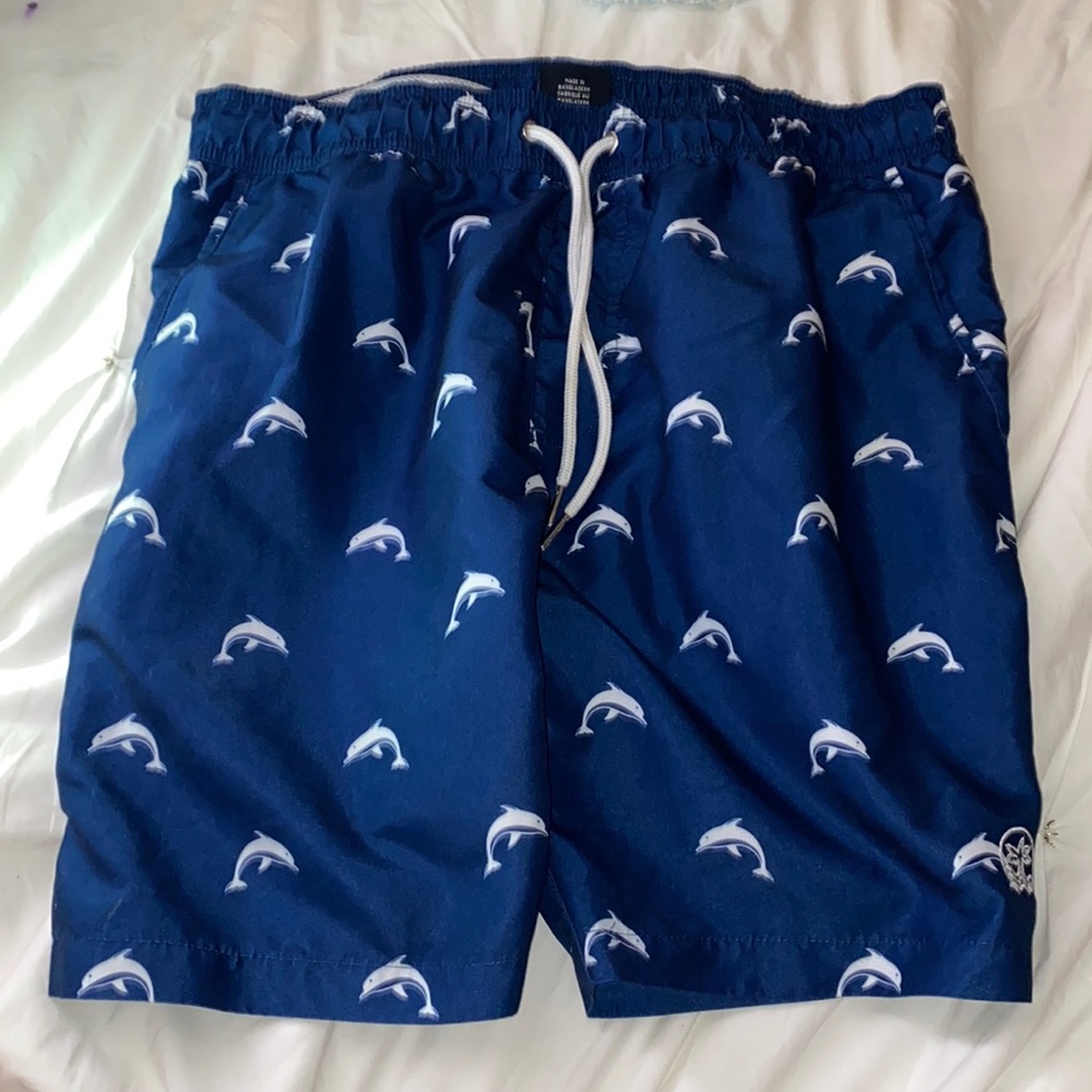 Men’s Swim Trunks with Dolphins